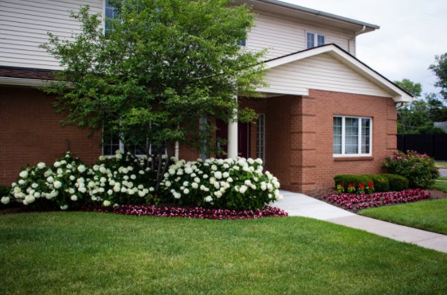 Photo of New Beginning Landscape Services