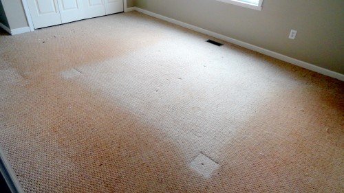 Photo of Heaven's Best Carpet Cleaning Roswell GA