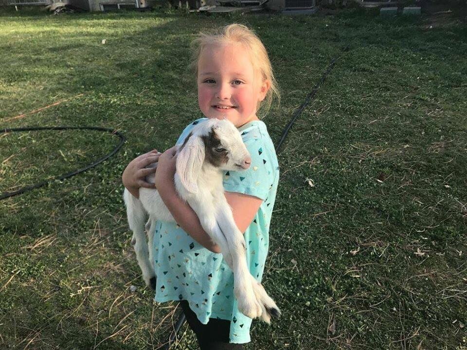Photo of Lil Misses Travelin' Farm