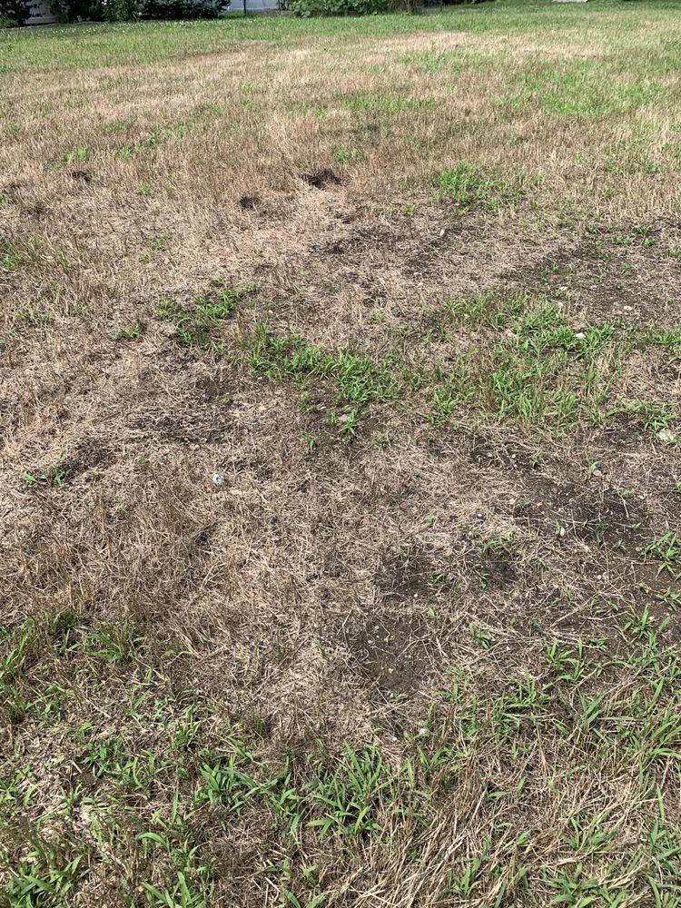 Photo of Raymond Landscaping