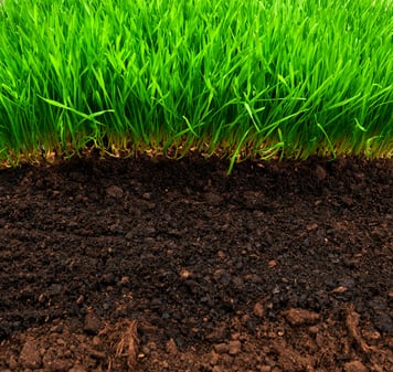 Photo of Raymond Landscaping