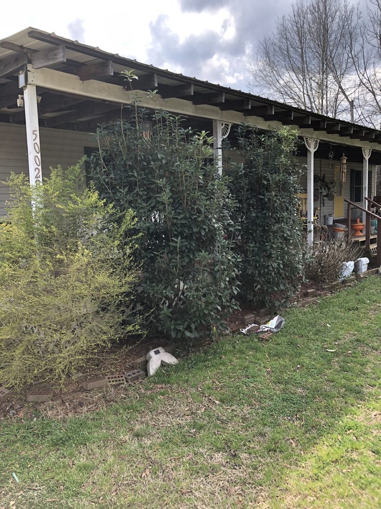 Photo of KD Lawn and Landscaping Services