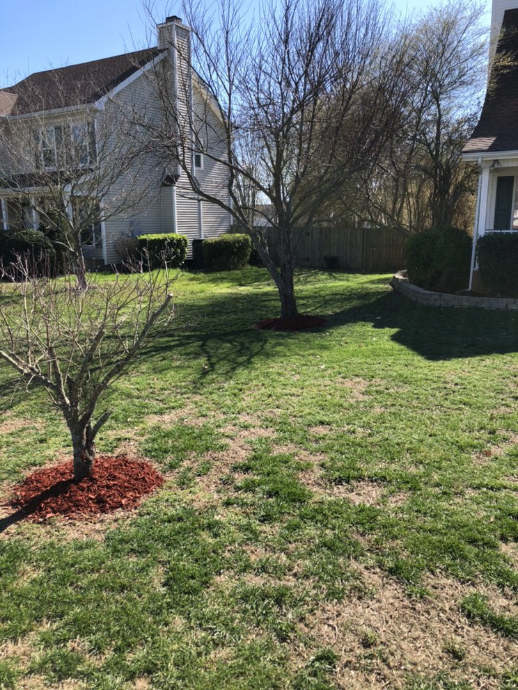 Photo of KD Lawn and Landscaping Services