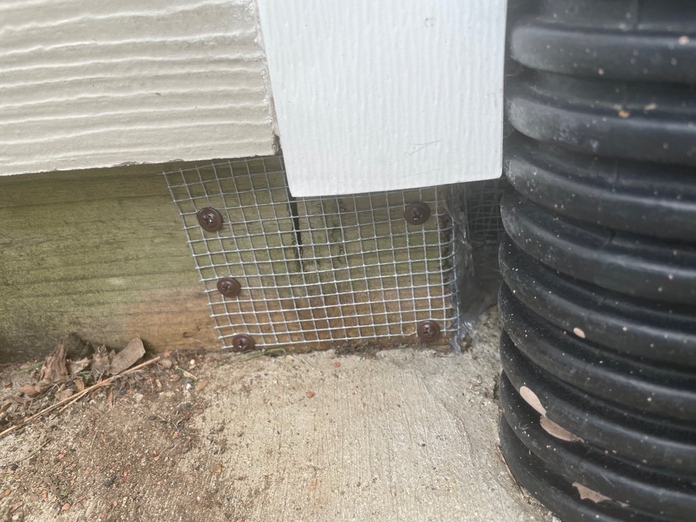 Photo of Phoenix Pest and Wildlife Control