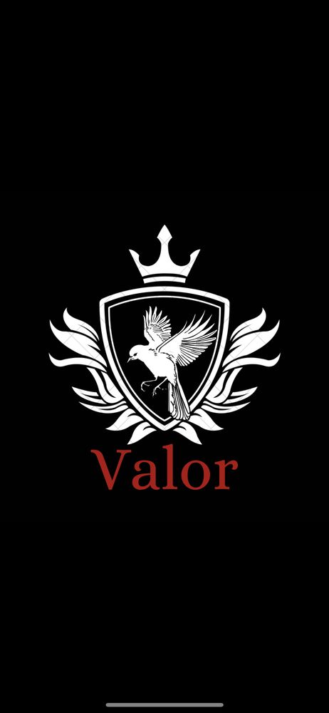Photo of Valor Moving transport