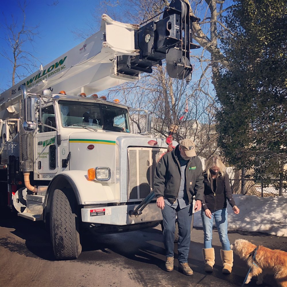 Photo of Willow Tree & Landscape Services