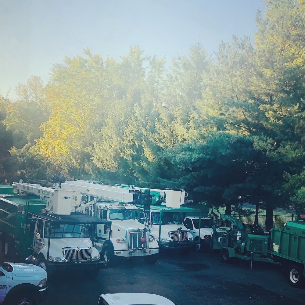 Photo of Willow Tree & Landscape Services