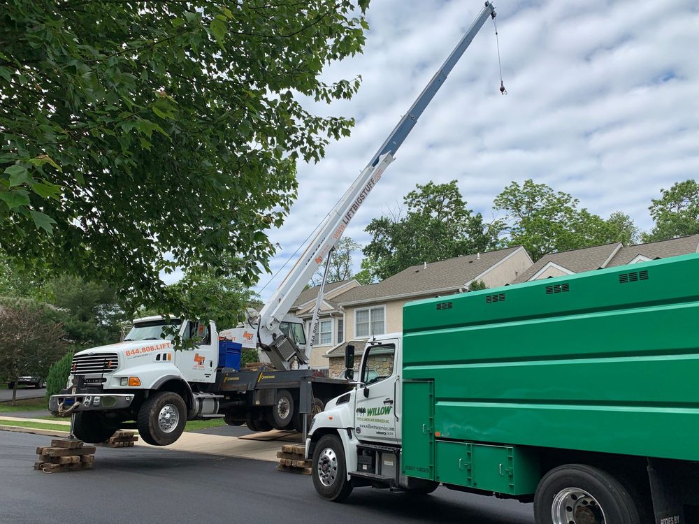 Photo of Willow Tree & Landscape Services