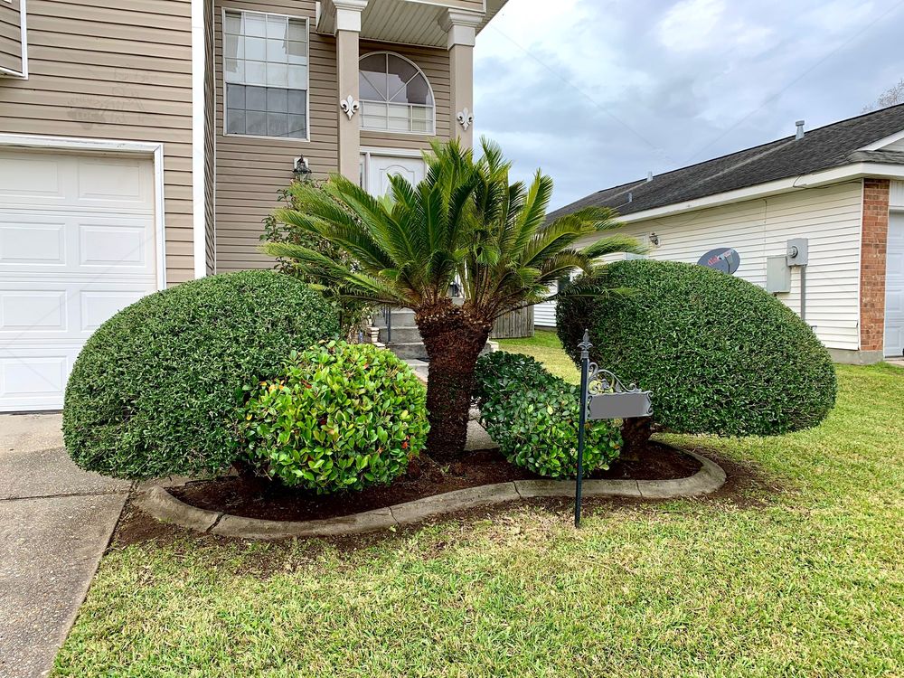 Photo of Mendez Landscaping Development