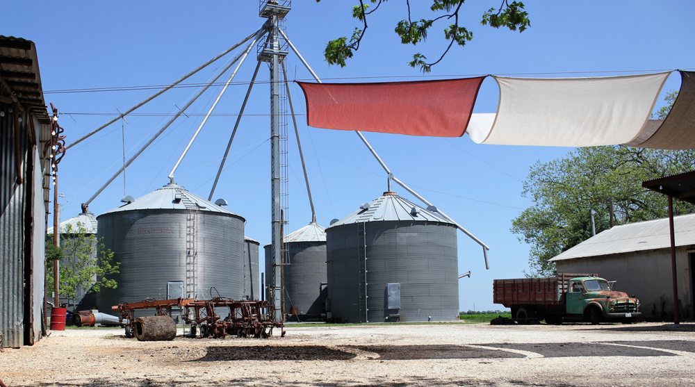Photo of Schattenbol at DeCock Farm