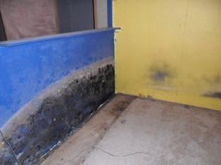 Photo of Certified Water and Mold