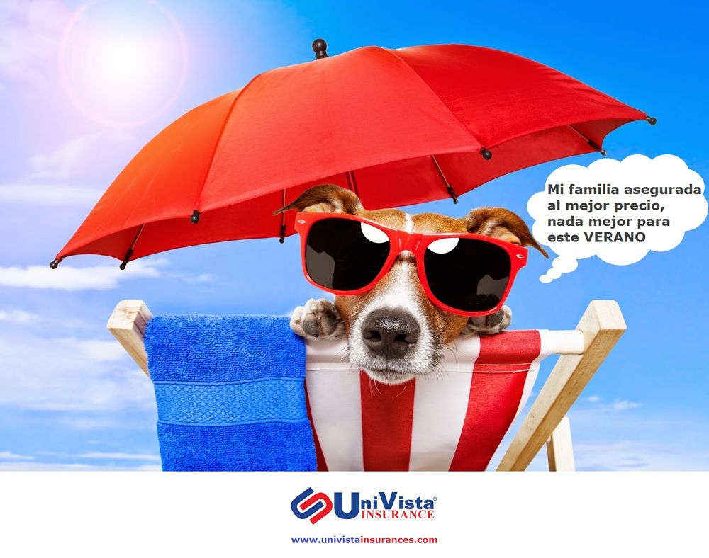 Photo of Univista Insurance