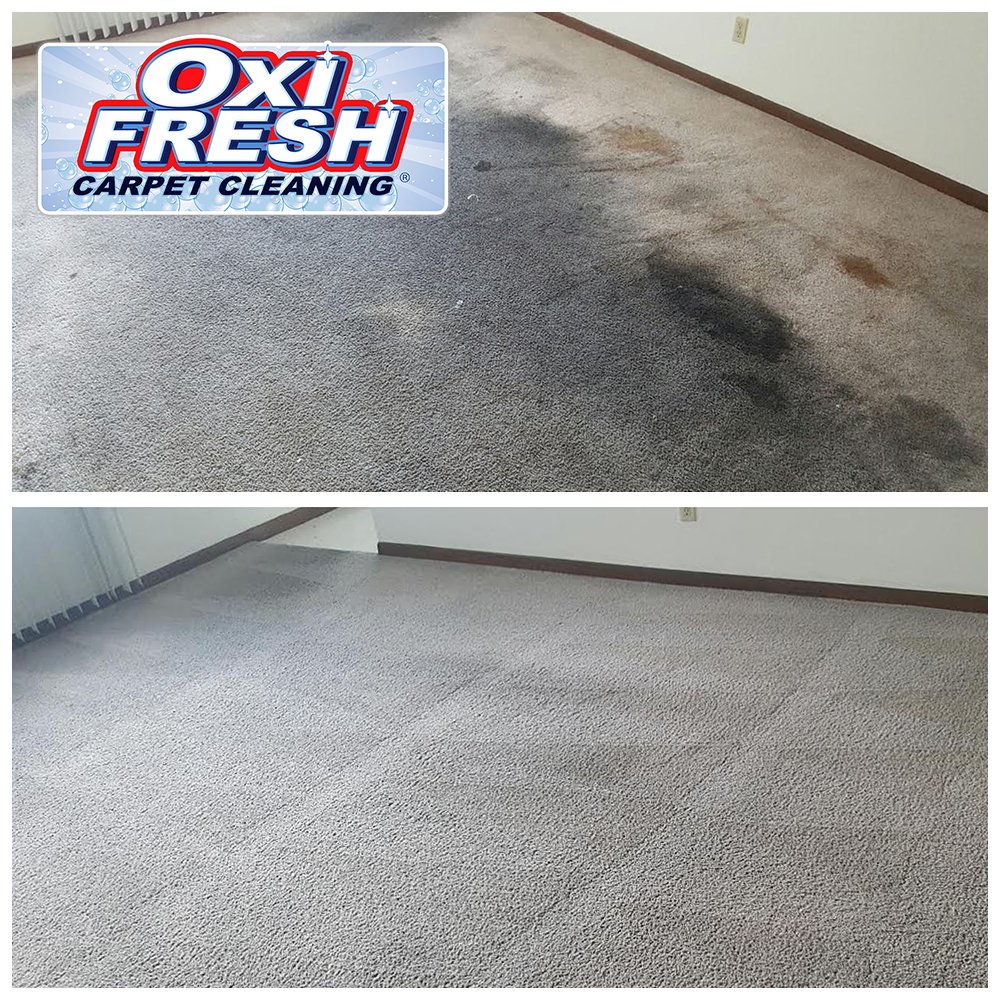 Photo of Oxi Fresh Carpet Cleaning