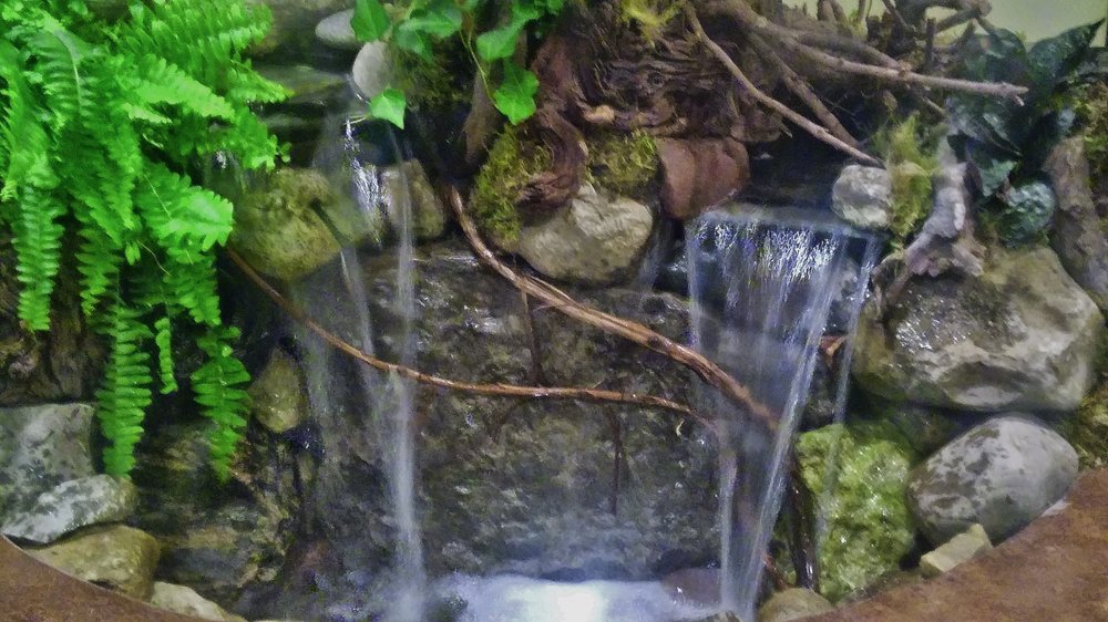 Photo of Michigan Pond and Plant