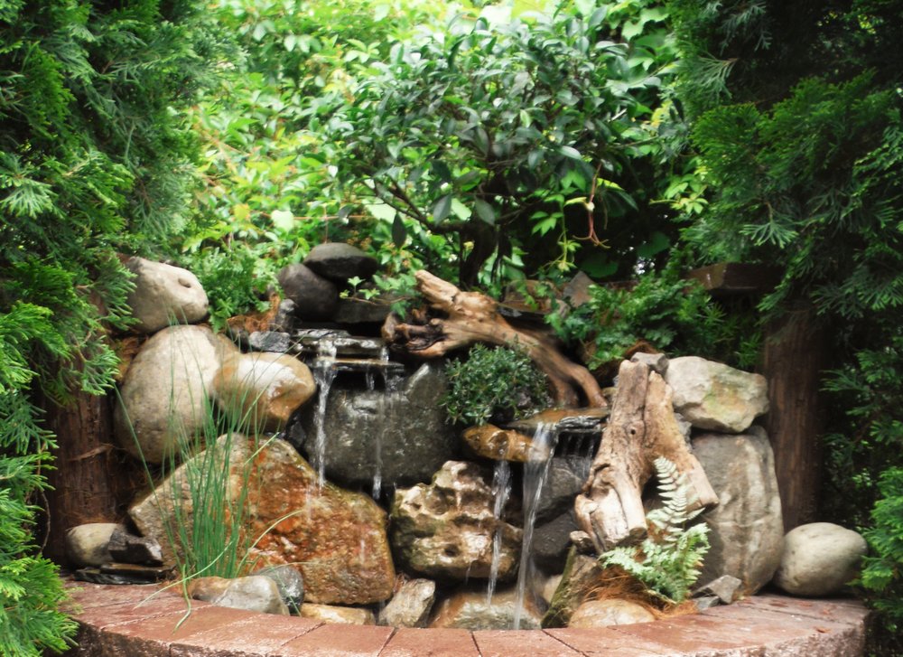 Photo of Michigan Pond and Plant