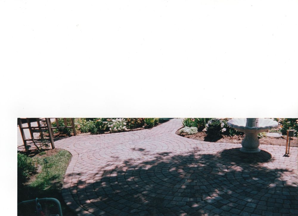 Photo of Michigan Pond and Plant