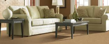 Photo of Carpet Quality Cleaning