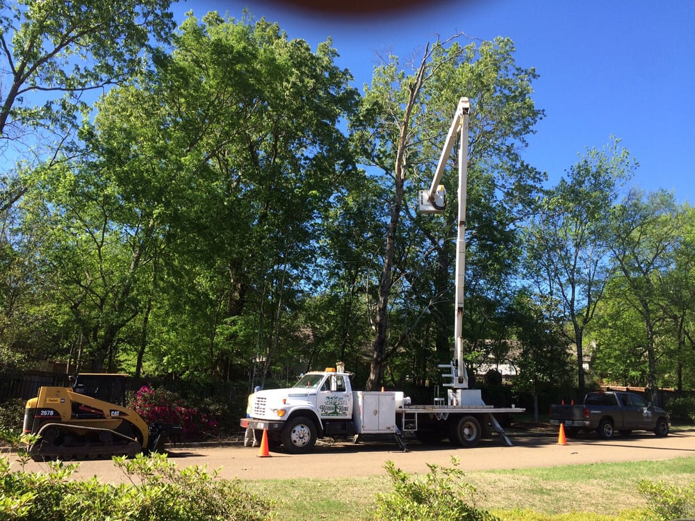 Photo of Kustom Kutz Tree Service