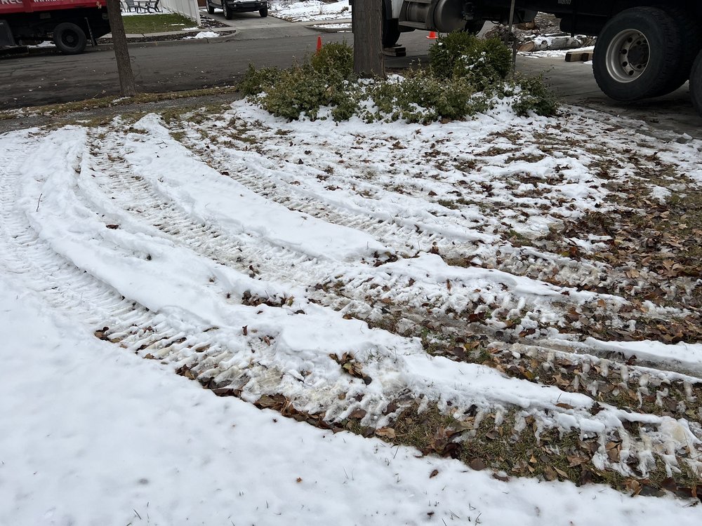 Photo of Atlas Tree Service