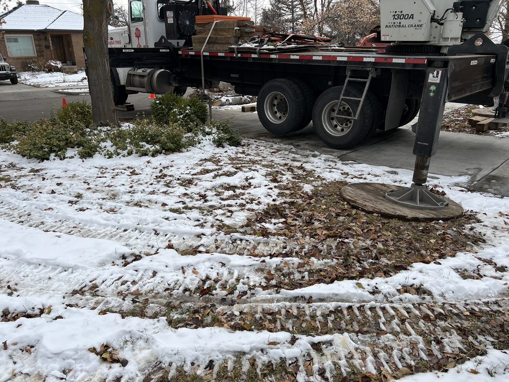 Photo of Atlas Tree Service