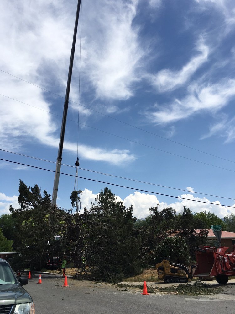 Photo of Atlas Tree Service
