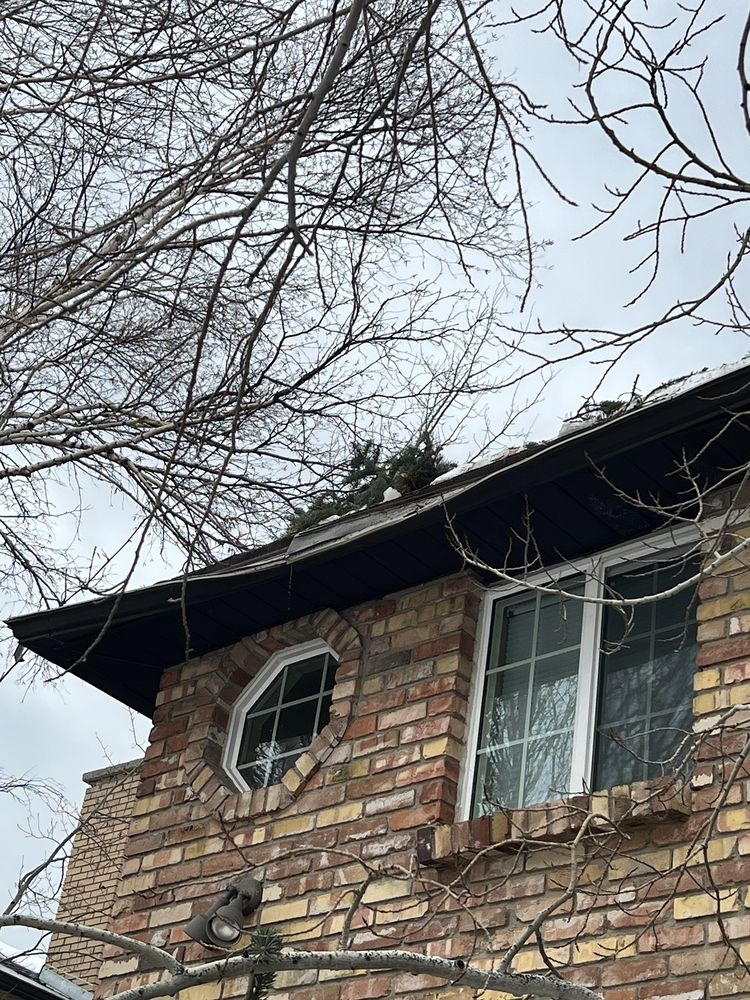 Photo of Atlas Tree Service