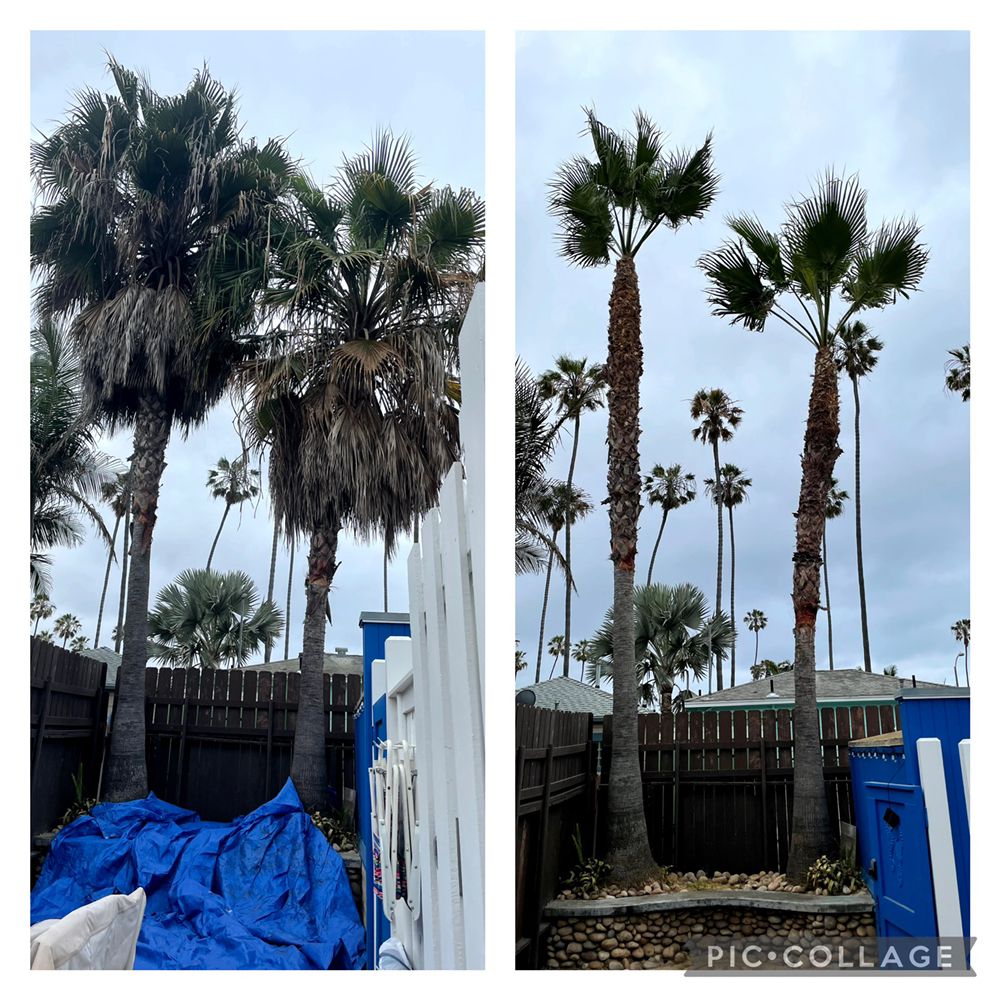 Photo of Big Branch Tree Service