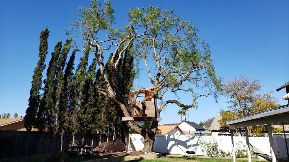 Photo of Big Branch Tree Service