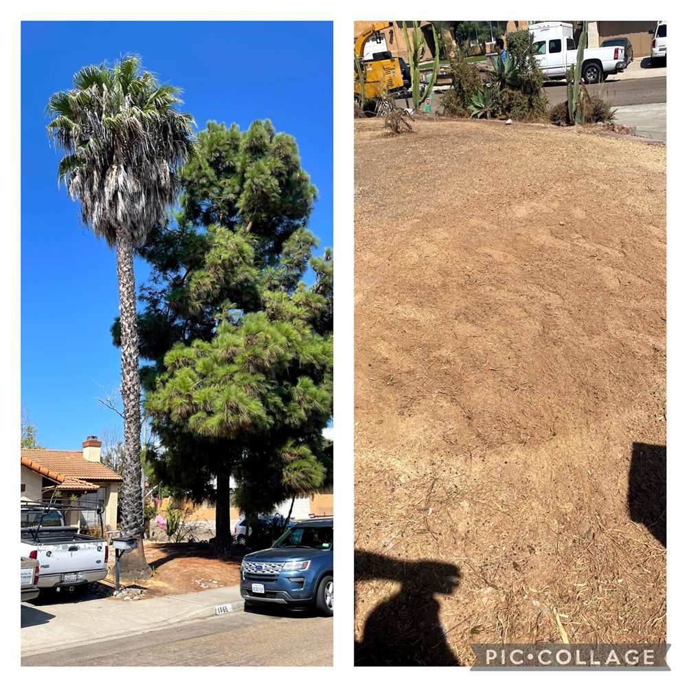 Photo of Big Branch Tree Service