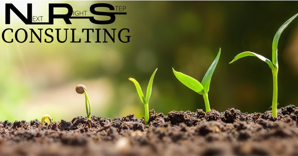 Photo of NRS Consulting Firm