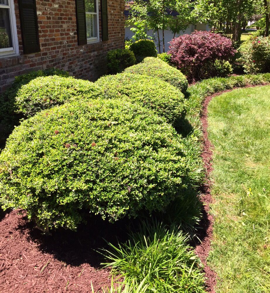 Photo of Spencer Home Services