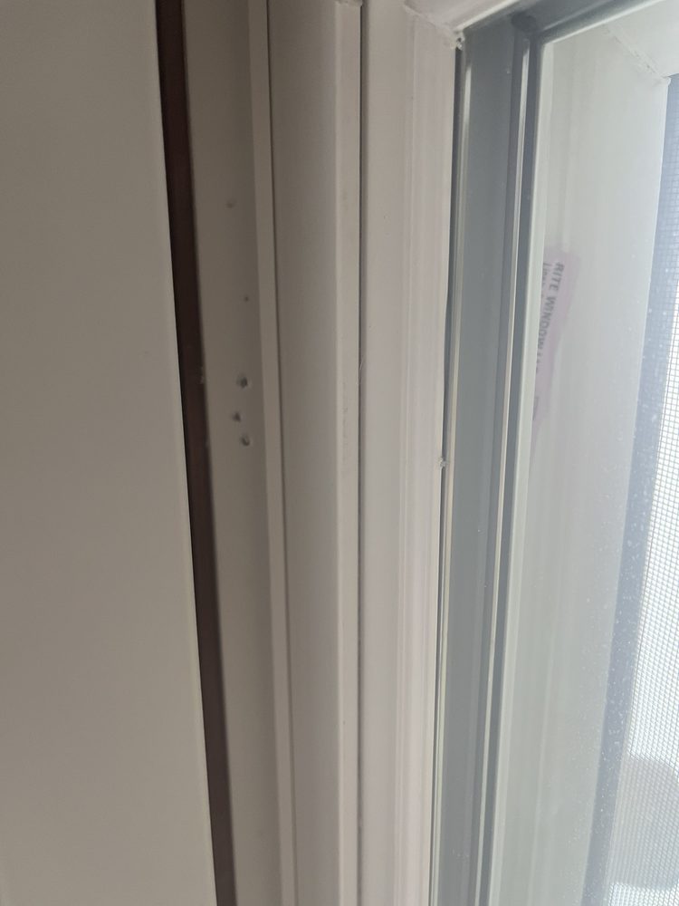 Photo of Blinds To Go