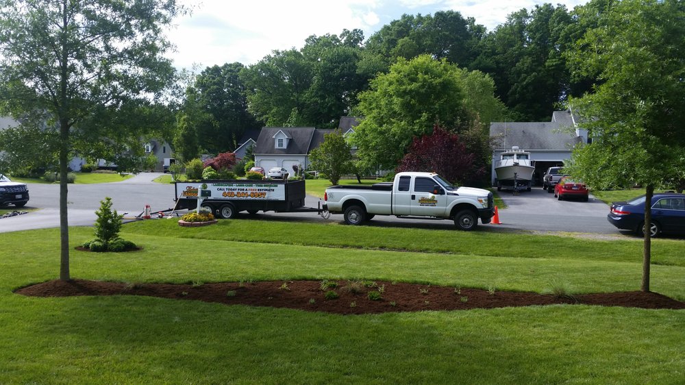 Photo of Edwin's Landscaping and Tree Experts