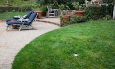 Photo of Pro Lawn Turf Services