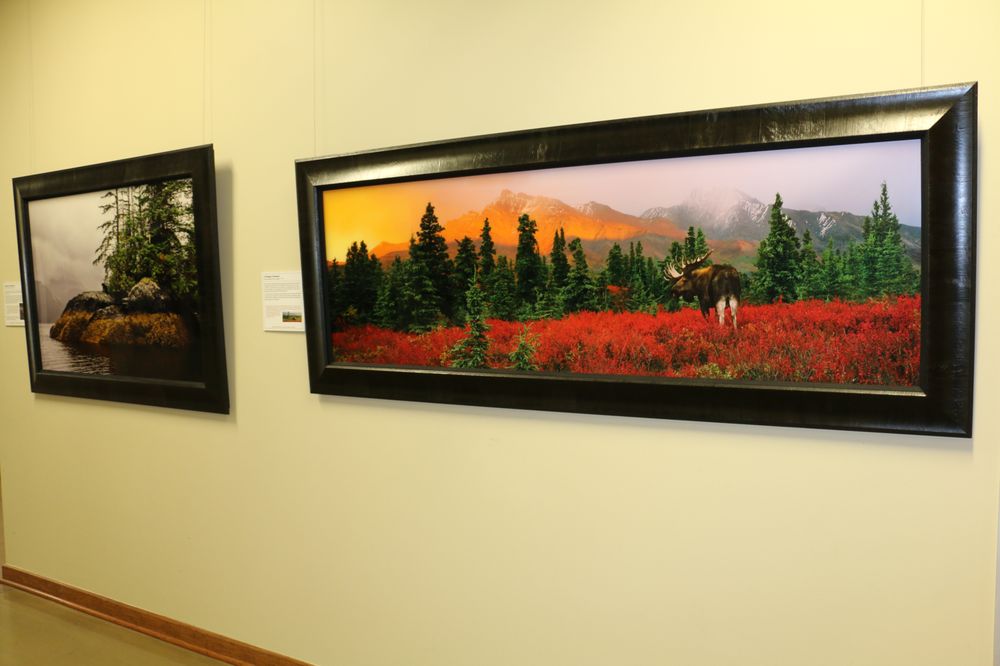 Photo of The Evelyn Burrow Museum