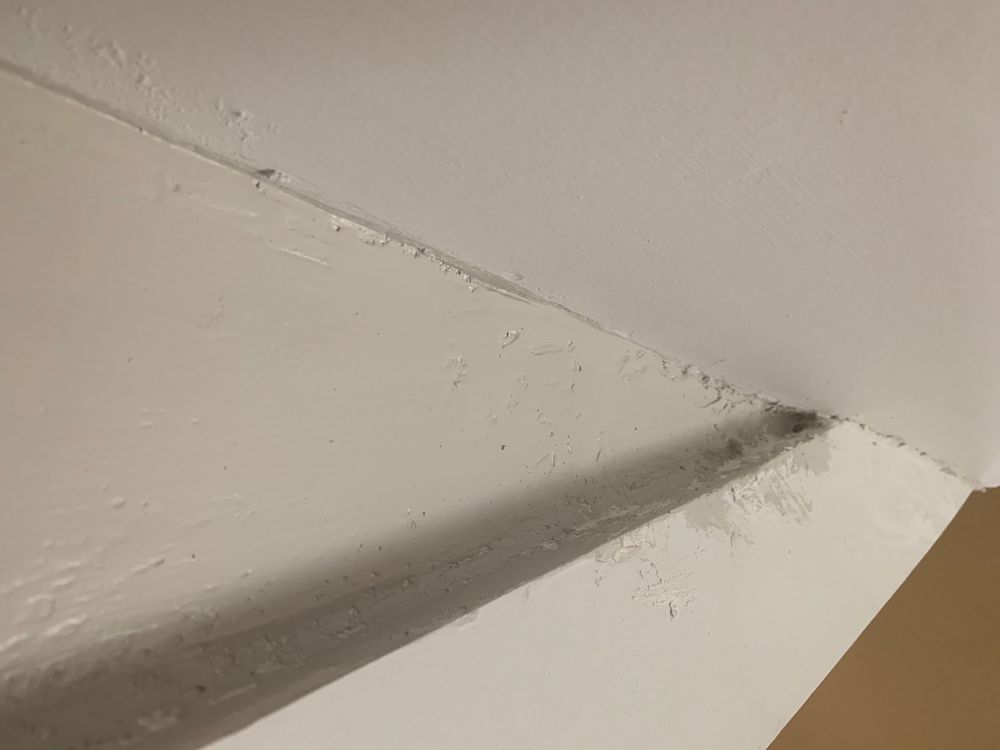 Photo of A Master Painting!
