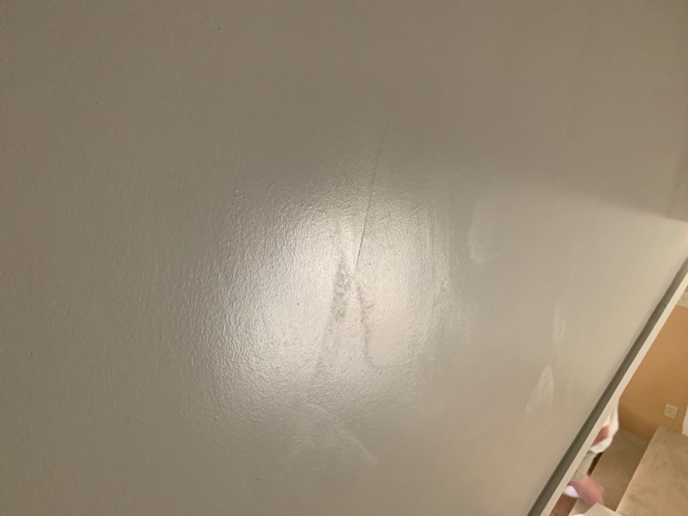 Photo of A Master Painting!