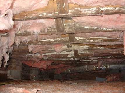Photo of Structural Solutions