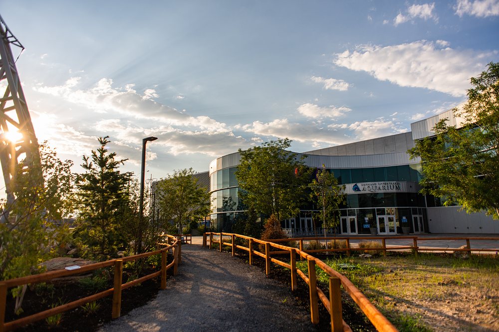 Photo of Loveland Living Planet Aquarium