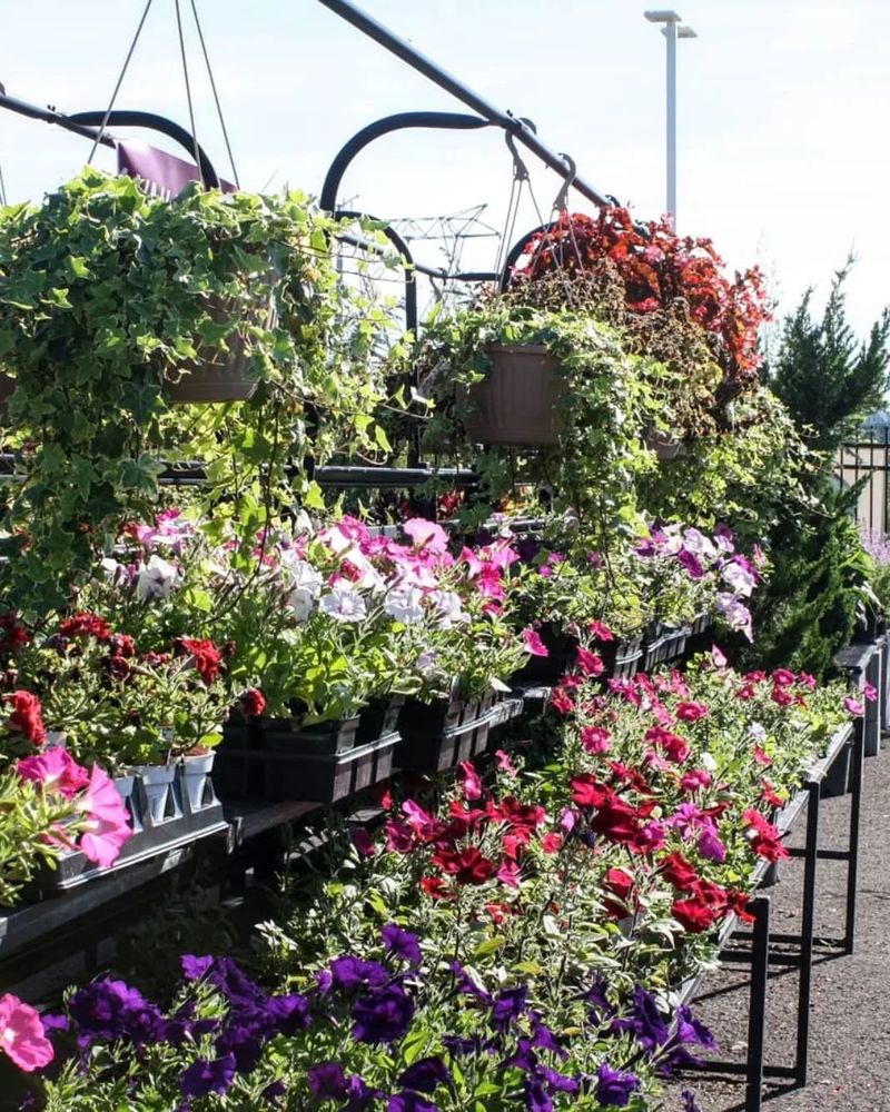 Photo of Sal's Nursery & Landscaping