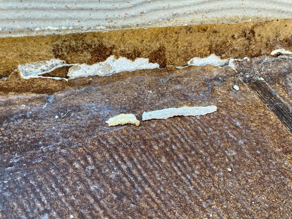 Photo of Houston Concrete Staining