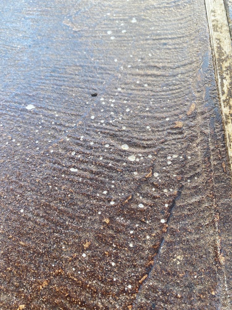 Photo of Houston Concrete Staining
