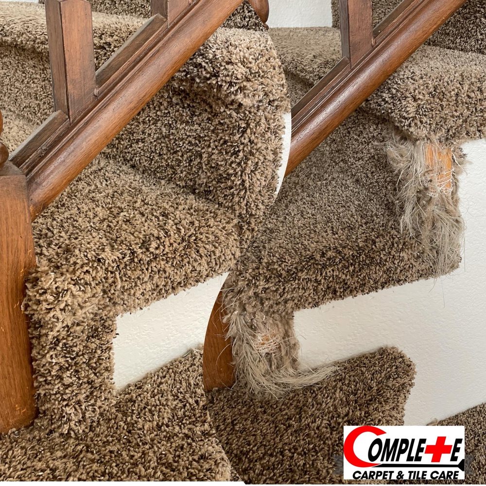 Photo of Complete Carpet and Tile Care