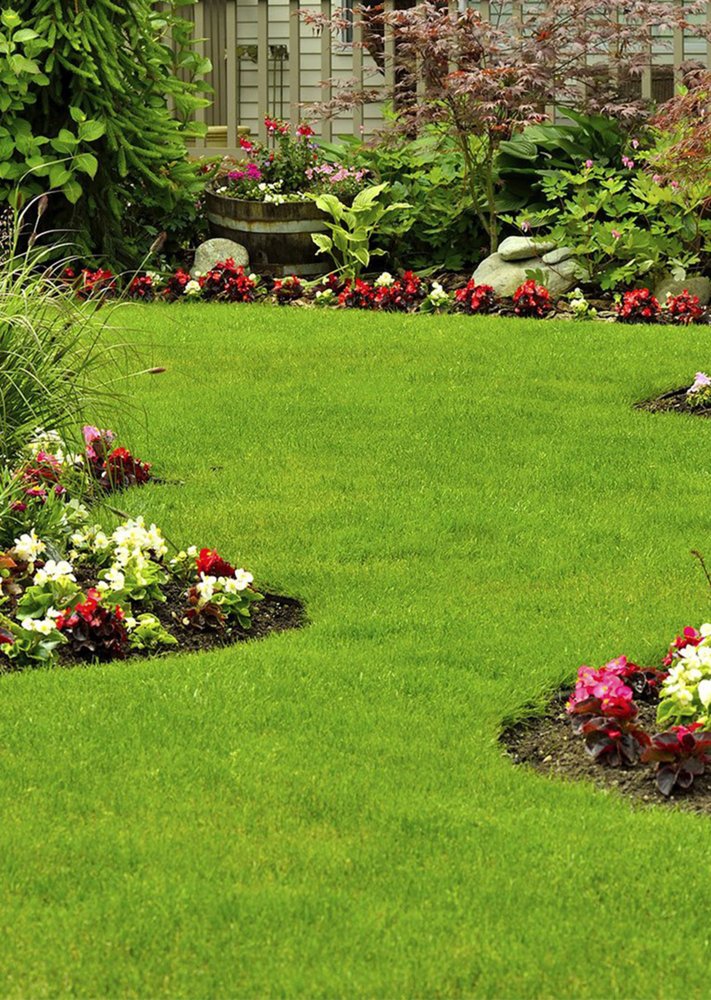 Photo of Green Paradise