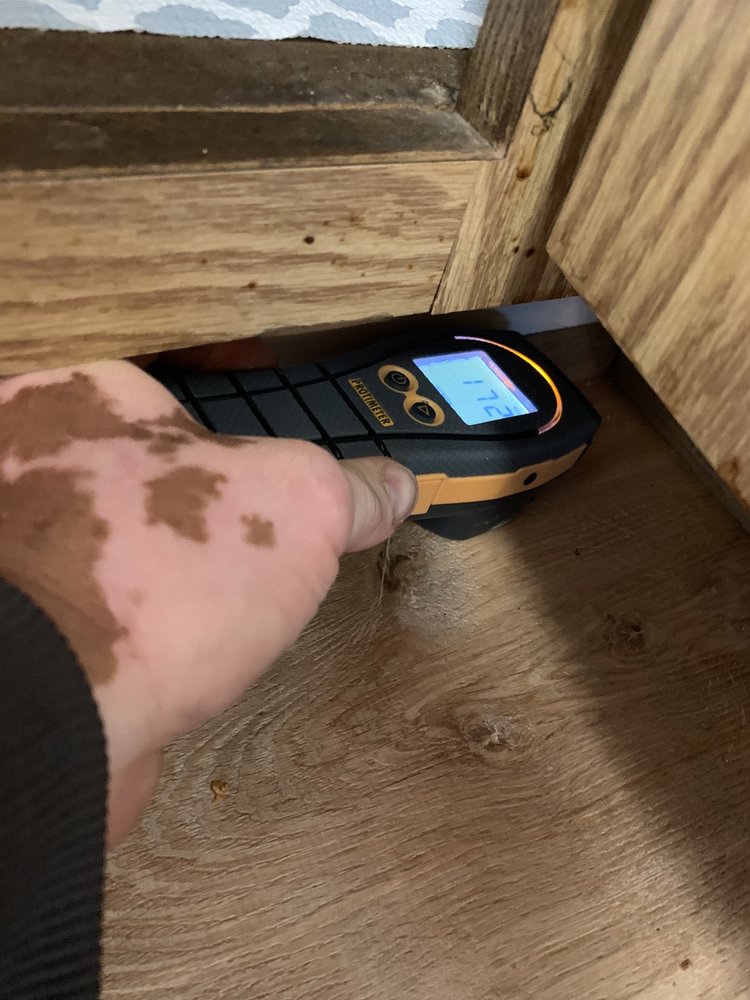 Photo of 5 Star Water Damage Restoration