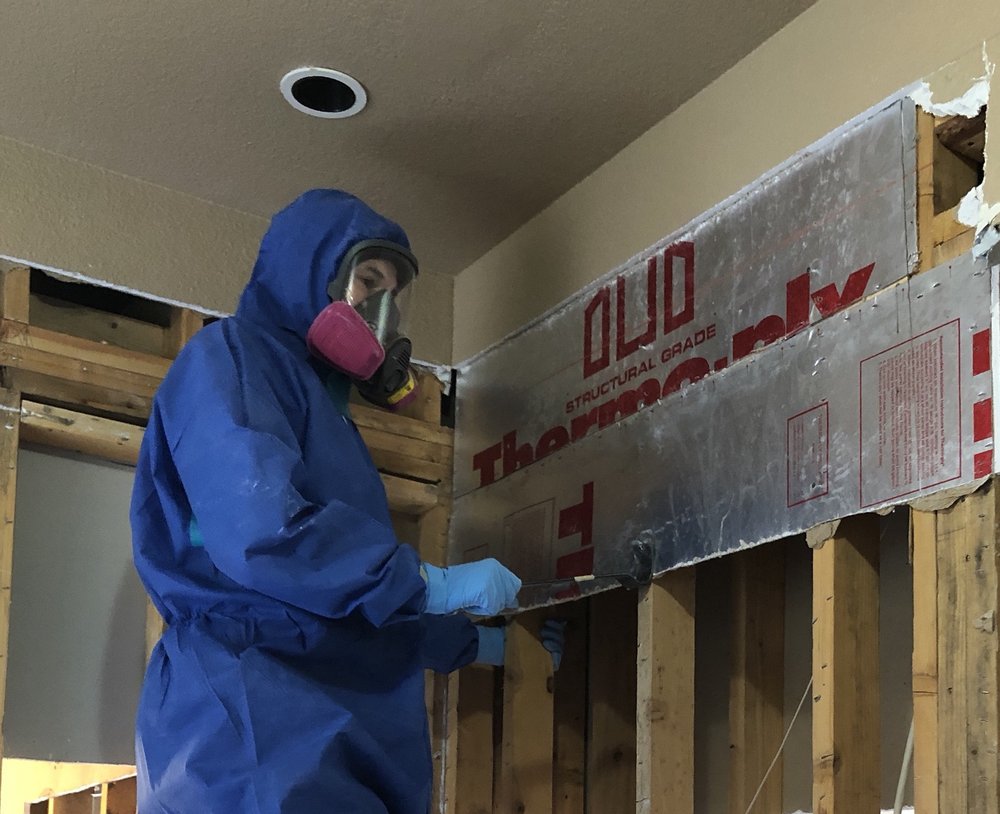 Photo of AZ Water Damage Experts