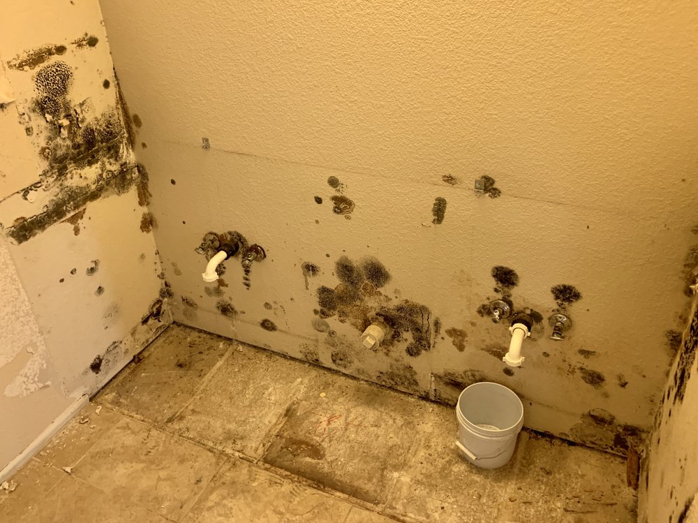 Photo of AZ Water Damage Experts