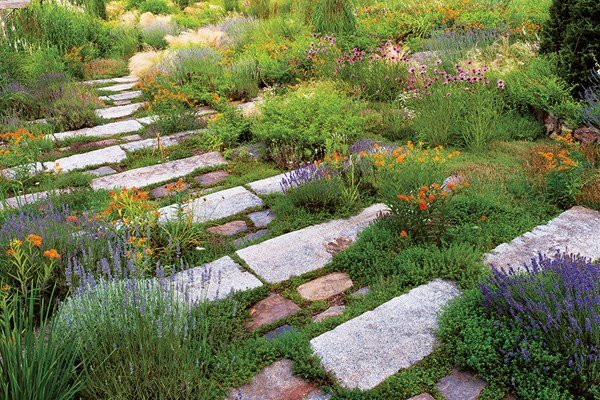 Photo of Southern Lawn Care And More