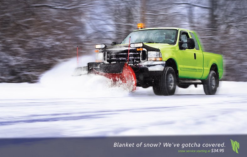 Photo of Lawn Care Express