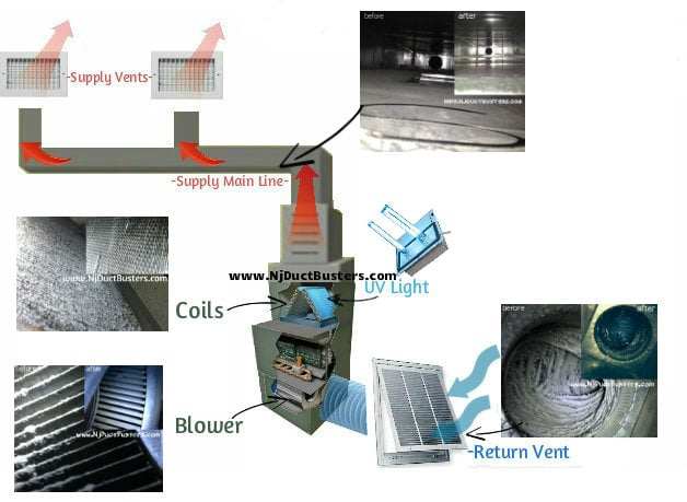 Photo of Jersey Duct Busters